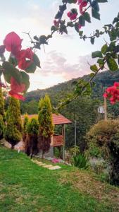 a view of a garden with a building and flowers at Sonho na Serra Chalé 1 in Gonçalves