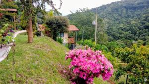 a bush with pink flowers on a hill at Sonho na Serra Chalé 1 in Gonçalves