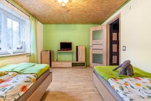 a bedroom with two beds and a television in it at Große Ferienwohnung mit Garten in Trollenhagen