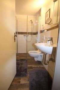 un bagno con wc, lavandino e doccia di Möwennest am Twedter Holz a Flensburgo Altre 10 foto
