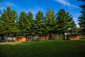 un grupo de pequeñas casas en un parque con árboles en Plymouth Rock Camping Resort One-Bedroom Cabin 6 en Elkhart Lake