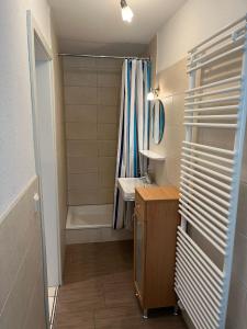 a bathroom with a shower and a sink and a tub at Ferienhof Rohrbachhof in Schiltach