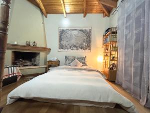 a bedroom with a large bed and a fireplace at Villa Lynn in Athens