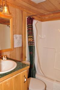La salle de bains est pourvue d'un lavabo, de toilettes et d'une douche. dans l'établissement Plymouth Rock Camping Resort Deluxe Cabin 16, à Elkhart Lake