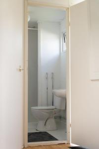 a bathroom with a toilet and a sink at Chalet Koolmees in Anloo