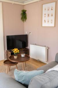 a living room with a coffee table and a flat screen tv at Chalet Koolmees in Anloo