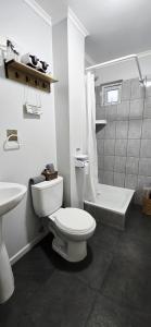 a bathroom with a toilet and a sink and a shower at Micha Loft in Puerto Natales