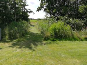 a path through a field with tall grass and trees at Seaside Charm in Bork Havn - By Traum Ferienwohnungen in Falen