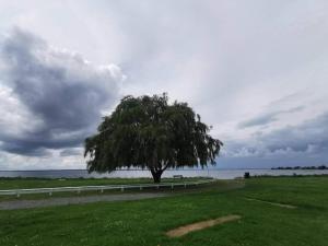 un arbre dans un champ avec une clôture et de l'eau dans l'établissement Luxury Panoramic View - By Traum Ferienwohnungen, à Stege