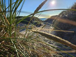 Blick auf den Strand durch etwas Gras in der Unterkunft 8 person holiday home in Ringkøbing in Ringkøbing