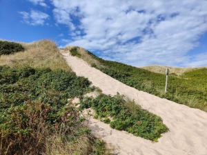 ein Sandweg auf einem Hügel mit Blumen in der Unterkunft 8 person holiday home in Ringkøbing in Ringkøbing + 30 Fotos