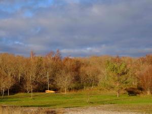 Příroda nedaleko prázdninového domu
