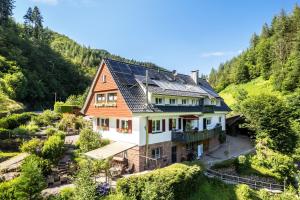 オッペナウにあるFerienwohnung 3の屋根の太陽光パネル付き家