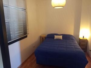 a blue bed in a room with a window at Cozy apartment in Mendoza