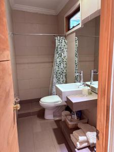 a bathroom with a toilet and a sink at Casa Nilhue junto al río in Lo Barnechea