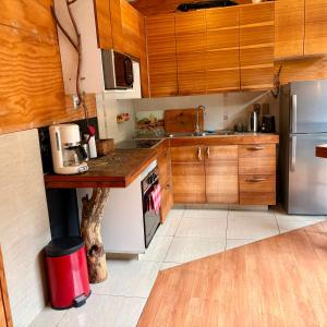 a kitchen with wooden cabinets and stainless steel appliances at Casa Nilhue junto al río in Lo Barnechea
