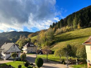 バート・ペーターシュタル・グリースバッハにあるFerienwohnung Schwarzwaldliebeの小さな村