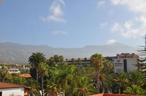 une ville avec des palmiers et une montagne en arrière-plan dans l'établissement Apartment La Paz, à Puerto de la Cruz