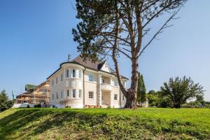 a large white house on a hill with a tree at Villa Romantika in Ichenhausen