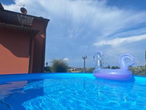 a swimming pool with a swan in the water at La Bettola Tavern Rooms Restaurant in Montopoli in Val dʼArno