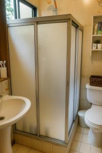 a bathroom with a shower and a toilet at Hostal Edificio Kuramochi in Temuco