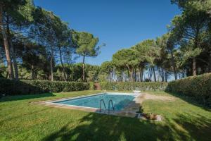 a swimming pool in a yard with trees at Ribera del Duero in Traspinedo