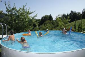a group of children playing in a swimming pool at Ferienwohnung 'auf dem Burstel' in Kleines Wiesental +20 photos