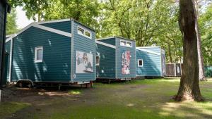 three blue modular homes parked next to a tree at Tiny House Nr 2 in Schwielowsee