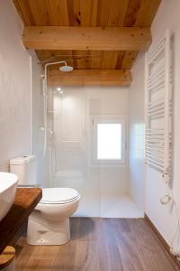 a bathroom with a toilet and a shower and a sink at L'Altell in Montagut