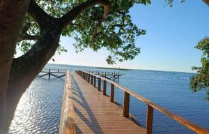 a wooden bridge over the water with a tree at Puxadinho do Sossego in Presidente Epitácio