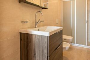 a bathroom with a sink and a toilet at Apartment Eisacktal in Mühlbach +16 photos