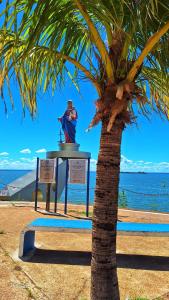 a statue of a man standing next to a palm tree at Casa Aconchego in Presidente Epitácio +15 photos