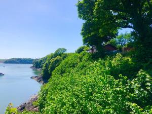 a view of a river with trees and a house at Badger Lodge in Burton +10 photos