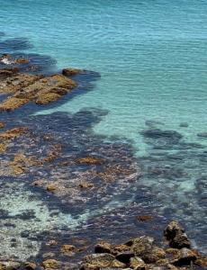 a view of the ocean with rocks and water at sun sea 白浜大浜海水浴場 コンビニ徒歩1分 in Shimoda
