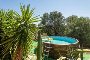 a pool with a ladder next to a palm tree at Casa vacanza Elena in Sarroch