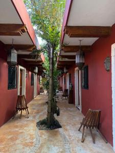a courtyard with benches and a tree in a building at Real Haciendas in Valladolid