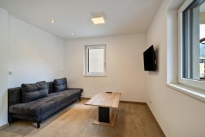 TV a/nebo společenská místnost v ubytování Ferienwohnung Lamm 3