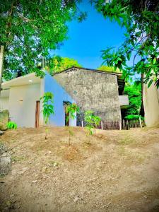 two palm trees in front of a building at S97 Weligama in Weligama