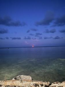 Příroda nedaleko penzionu + 2 fotografie