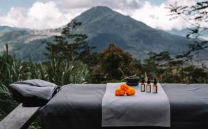 a table with flowers on it with a view of a mountain at Batur Cabins in Kintamani