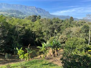 a view of a forest with a mountain in the background at Finca Buenavista Sasaima in Sasaima