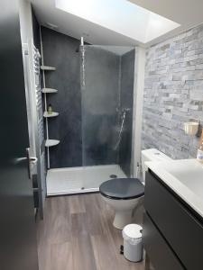 ein Badezimmer mit Dusche, Toilette und Waschbecken in der Unterkunft Domaine de Jarentin - Gîte 4-5 P in Saint-Marcel-de-Félines