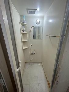 a bathroom with a walk in shower with a shower at Southern Gate HIVE in Ishigaki Island +9 photos