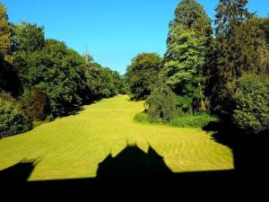 a field of green grass with trees in the background at Chambre Royale au Château de la Rose avec Parking Privé - FR-1-591-766 in Cluis +2 photos