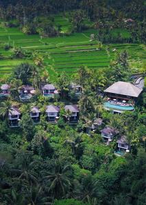 an aerial view of a resort in the middle of a field at Natya Resort Ubud in Ubud