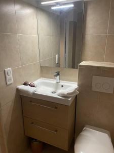 a bathroom with a sink and a toilet and a mirror at Auberge du cheval blanc in Ajaccio