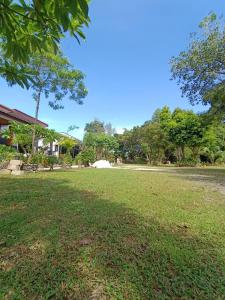 Κήπος έξω από το Phra Ae Apartments