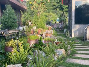 Jardin de l'établissement Mộc Homestay