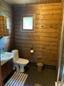 a bathroom with a toilet and a sink at Villa Hietikko in Kivijärvi +31 photos