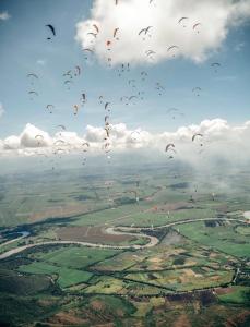 a flock of kites flying in the sky at Finca el origen 2025 in Roldanillo